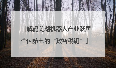 解码芜湖机器人产业跃居全国第七的“数智税钥”