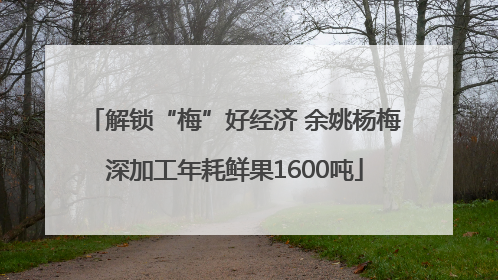 解锁“梅”好经济 余姚杨梅深加工年耗鲜果1600吨