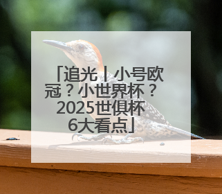 追光丨小号欧冠？小世界杯？2025世俱杯6大看点