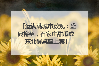 运满满城市数观：盛夏将至，石家庄甜瓜成东北餐桌座上宾
