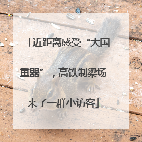 近距离感受“大国重器”，高铁制梁场来了一群小访客