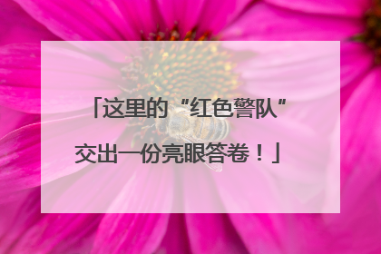 这里的“红色警队”交出一份亮眼答卷！