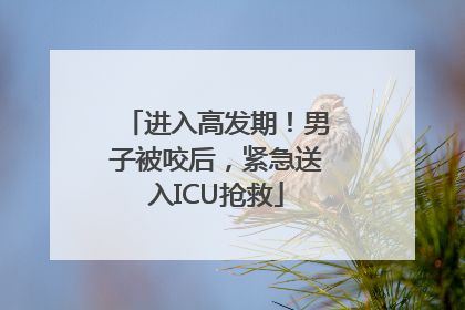进入高发期！男子被咬后，紧急送入ICU抢救