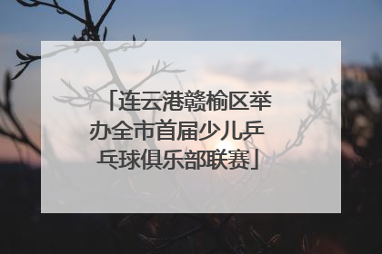 连云港赣榆区举办全市首届少儿乒乓球俱乐部联赛