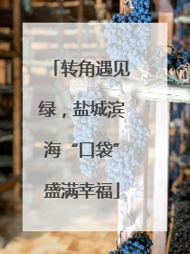 转角遇见绿，盐城滨海“口袋”盛满幸福