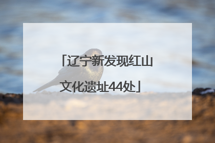 辽宁新发现红山文化遗址44处