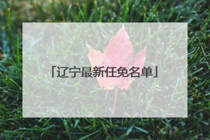 辽宁最新任免名单
