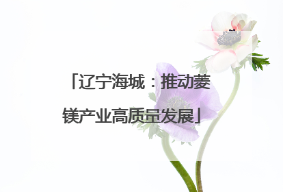 辽宁海城：推动菱镁产业高质量发展