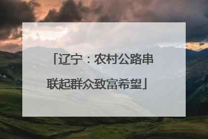 辽宁：农村公路串联起群众致富希望