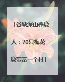 谷城深山养鹿人：70只梅花鹿带富一个村