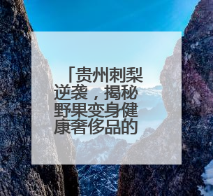 贵州刺梨逆袭，揭秘野果变身健康奢侈品的密码