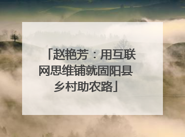 赵艳芳：用互联网思维铺就固阳县乡村助农路