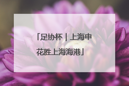 足协杯｜上海申花胜上海海港
