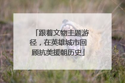 跟着文物主题游径，在英雄城市回顾抗美援朝历史