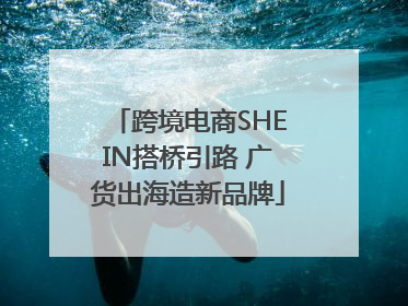 跨境电商SHEIN搭桥引路 广货出海造新品牌