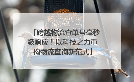 跨越物流查单号毫秒级响应！以科技之力重构物流查询新范式