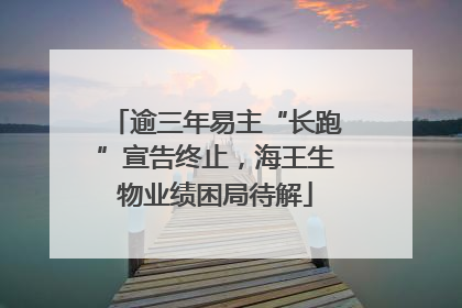 逾三年易主“长跑”宣告终止，海王生物业绩困局待解
