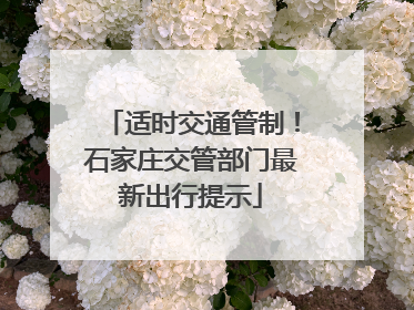 适时交通管制！石家庄交管部门最新出行提示