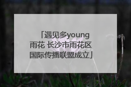 遇见多young雨花 长沙市雨花区国际传播联盟成立