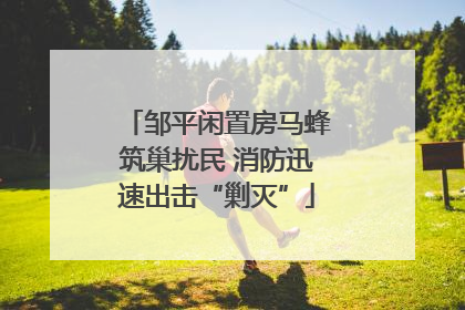 邹平闲置房马蜂筑巢扰民 消防迅速出击“剿灭”