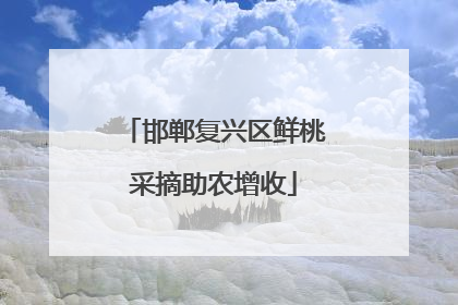 邯郸复兴区鲜桃采摘助农增收