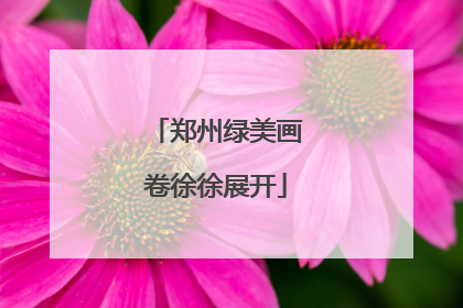 郑州绿美画卷徐徐展开