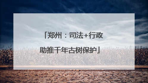 郑州：司法+行政助推千年古树保护