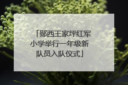郧西王家坪红军小学举行一年级新队员入队仪式