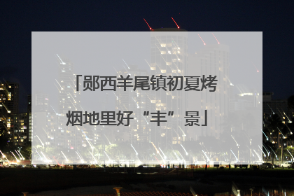 郧西羊尾镇初夏烤烟地里好“丰”景