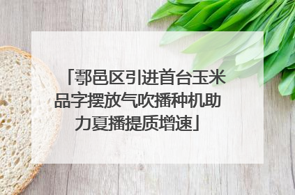 鄠邑区引进首台玉米品字摆放气吹播种机助力夏播提质增速