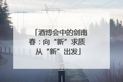 酒博会中的剑南春：向“新”求质 从“新”出发