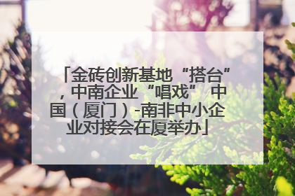 金砖创新基地“搭台”，中南企业“唱戏” 中国（厦门）-南非中小企业对接会在厦举办
