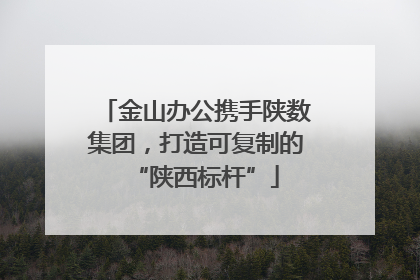 金山办公携手陕数集团，打造可复制的“陕西标杆”
