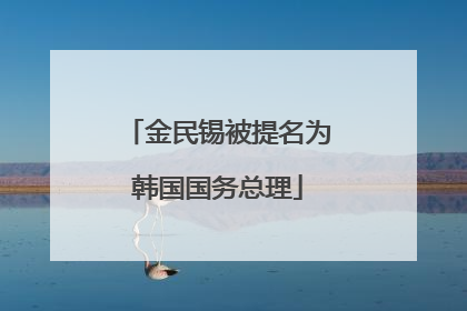 金民锡被提名为韩国国务总理