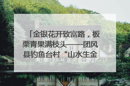 金银花开致富路，板栗青果满枝头——团风县钓鱼台村“山水生金”谱写共富新篇章