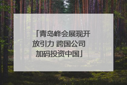 青岛峰会展现开放引力 跨国公司加码投资中国