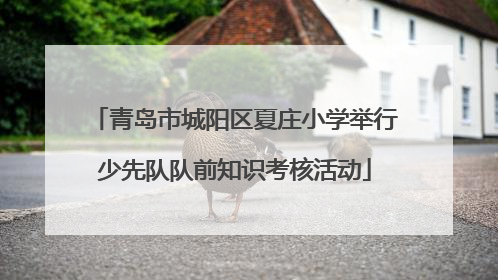 青岛市城阳区夏庄小学举行少先队队前知识考核活动