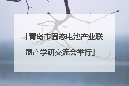 青岛市固态电池产业联盟产学研交流会举行