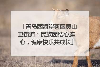 青岛西海岸新区灵山卫街道：民族团结心连心，健康快乐共成长