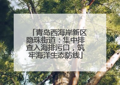 青岛西海岸新区隐珠街道：集中排查入海排污口，筑牢海洋生态防线
