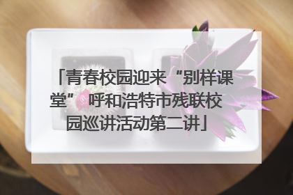 青春校园迎来“别样课堂” 呼和浩特市残联校园巡讲活动第二讲