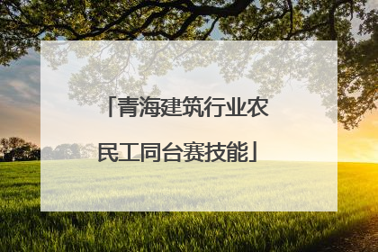 青海建筑行业农民工同台赛技能