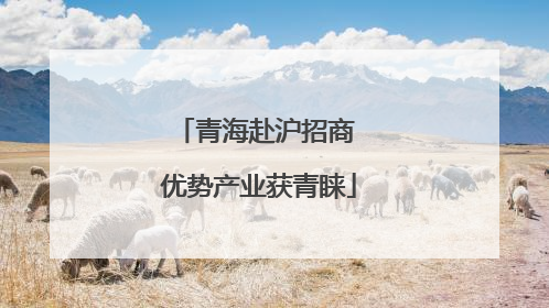 青海赴沪招商 优势产业获青睐
