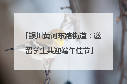 银川黄河东路街道：邀留学生共迎端午佳节