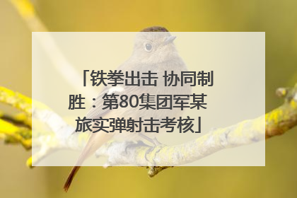 铁拳出击 协同制胜：第80集团军某旅实弹射击考核