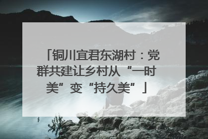 铜川宜君东湖村：党群共建让乡村从“一时美”变“持久美”