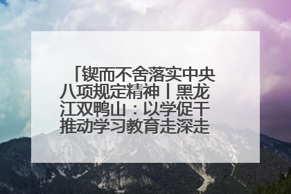 锲而不舍落实中央八项规定精神丨黑龙江双鸭山：以学促干推动学习教育走深走实 从小事入手写好“民生答卷”