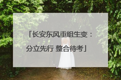 长安东风重组生变：分立先行 整合待考