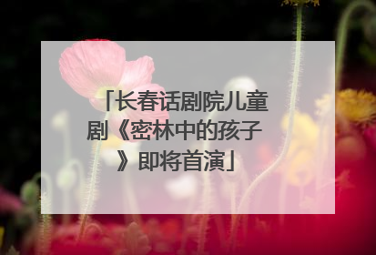 长春话剧院儿童剧《密林中的孩子》即将首演
