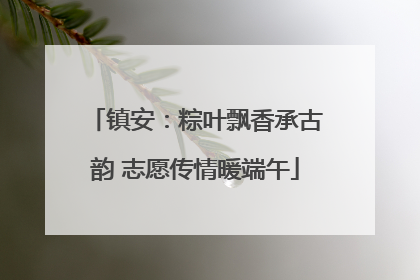 镇安：粽叶飘香承古韵 志愿传情暖端午